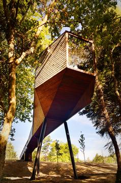 Casas Tree Snake / Luís Rebelo de Andrade + Tiago Rebelo de Andrade