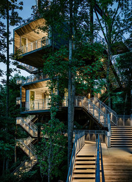 Casa Sustentable en el Árbol  / Mithun