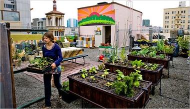 Agricultura Urbana: Projetando à distância