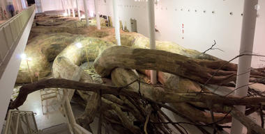 Brazilian Artist Builds Labyrinth of Wooden Roots