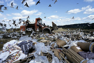San Francisco's Zero Waste Successes