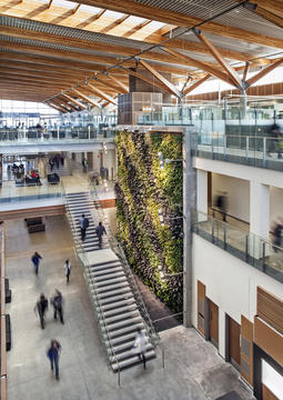 University of Windsor CEI / B+H