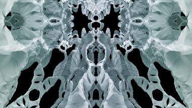 Bartlett Students Invent Skeleton-Inspired Structural Material for Lightweight Construction 