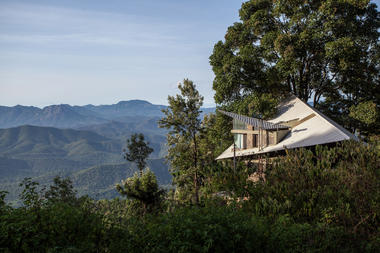 Gallery - Hornbill House / Biome Environmental Solutions - 1