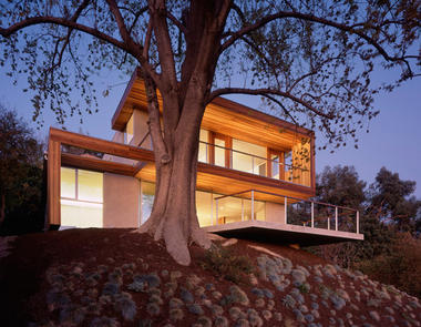 Gallery - Tree house / Standard - 1