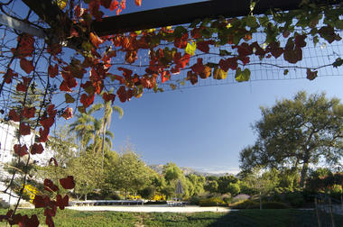 Casa Nueva: Working in the Garden / Van Atta Associates