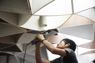 Brain Fit / NPDA Studio