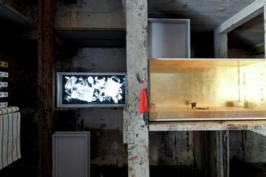 Venice Biennale 2012: Wunderkammer / Tod Williams Billie Tsien Architects