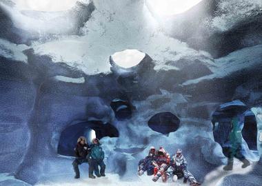 Arctic Research Facility / Polar Ants