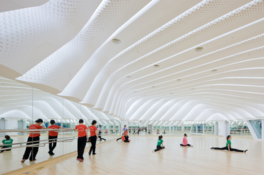 Gallery - Guangzhou Opera House / Zaha Hadid Architects - 4