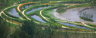 Gallery - Minghu Wetland Park / Turenscape - 15