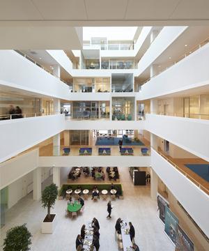 Gallery - Microsoft Domicile / Henning Larsen Architects - 4