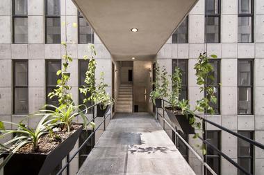 Popocatepetl 143 / HGR Arquitectos