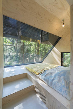 变形森林住宅 / Bloot Architecture
