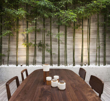 Gallery of 31 Blair Road Residence / Ong & Ong  - 12