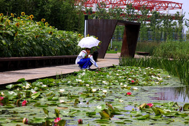 Parque Houtan en Shanghai / Turenscape