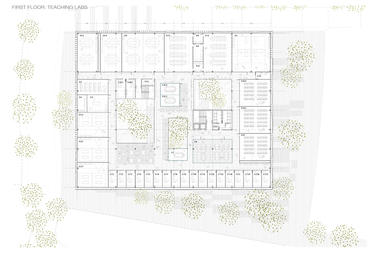 Gallery of Miba Architects' University of Cyprus Medical School Proposal Combines Lab and Social Space  - 13
