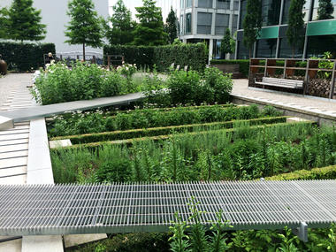 Gallery of Novartis Physic Garden / Thorbjörn Andersson + Sweco architects  - 16