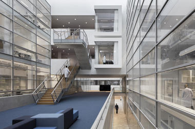 大脑行为和新陈代谢研究中心/ Hammeskrause Architekten