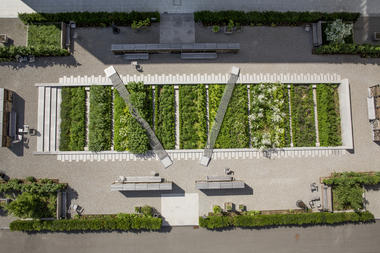 Novartis Physic Garden / Thorbjörn Andersson + Sweco architects