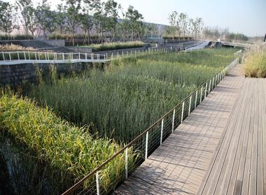 Gallery of Shanghai Houtan Park / Turenscape  - 8