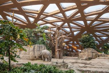 苏黎世动物园新象舍 / Markus Schietsch Architekten