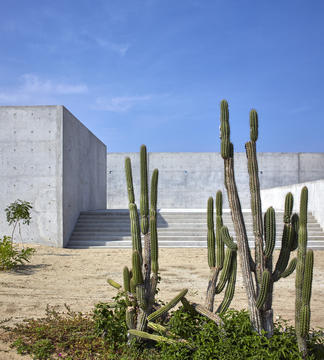 Gallery of Wabi House / Tadao Ando Architect and Associates  - 13