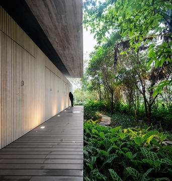 Gallery of Jungle  House  / Studiomk27 - Marcio Kogan + Samanta Cafardo  - 56