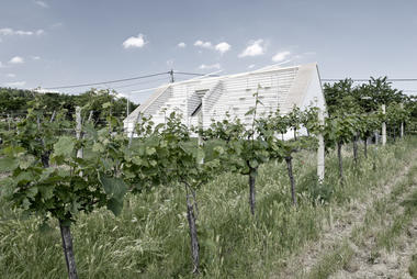 Weinblich / March Gut