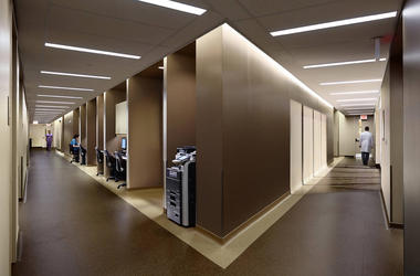 Gallery of Memphis Veterinary Specialists / Archimania  - 7
