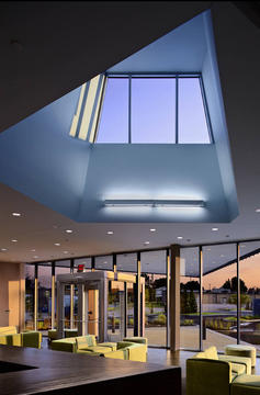 Gallery of Memphis Veterinary Specialists / Archimania  - 8