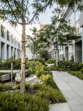 Gallery of BIGyard  / Zanderroth Architekten  - 5