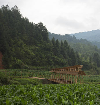 Puente Viento y Lluvia / Donn Holohan - Universidad de Hong Kong