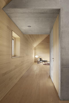 Gallery of House Bäumle 2 / Bernardo Bader  - 6