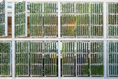 Gallery of Take A Look At Milan Expo's 2015 Pavilions on Opening Day  - 1