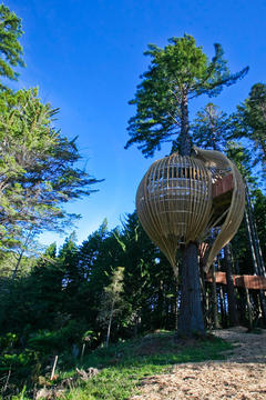 Gallery of Yellow Treehouse Restaurant / Pacific Environments  - 7