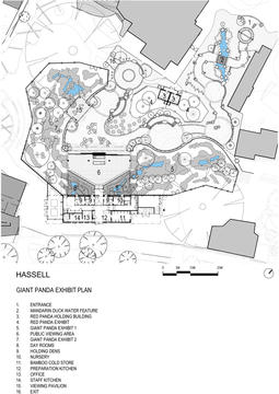 Gallery of Adelaide Zoo Giant Panda Forest / Hassell  - 15