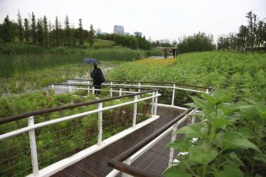 Gallery of Shanghai Houtan Park / Turenscape  - 9