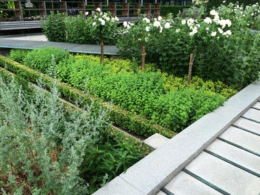 Gallery of Novartis Physic Garden / Thorbjörn Andersson + Sweco architects  - 23