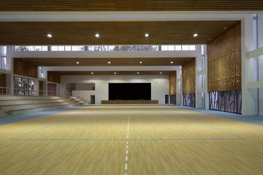 Gallery of Dunalastair School Gymnasium / Patricio Schmidt  + Alejandro Dumay   - 10