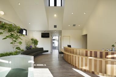 Gallery of Castle Town Orthodontic Bruno  / TSC Architects  - 2