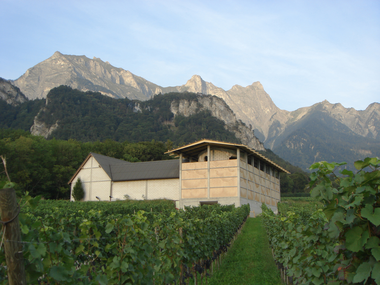 Winery Gantenbein /  Gramazio & Kohler + Bearth & Deplazes Architekten