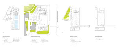 画廊 百年院校 - 布兰克森山霍尔中学的体育健康中心 / MacLennan Jaunkalns Miller Architects   - 22