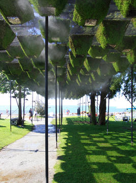 Move Over, Green Walls: Living Canopy Comes to West Vancouver