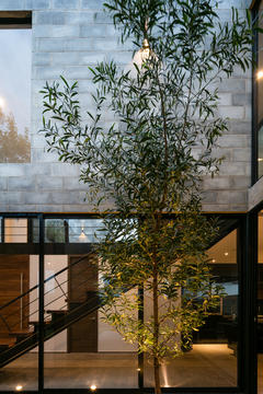 Galería de Casa Robles / ATIER ARQUITECTURA  - 15