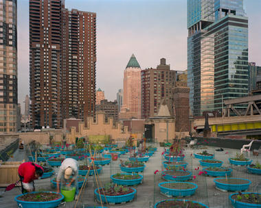 Design Trust and Farming Concrete Release World’s First Public Urban Agriculture Database