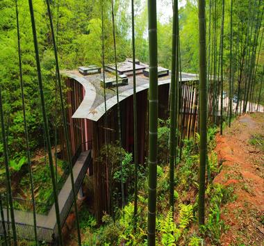 Portal de Bambu / West-line studio
