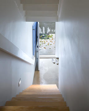 Gallery of 480 House  / D’Arcy Jones Architecture  - 9