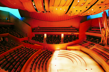 Gallery of AD Classics: Walt Disney Concert Hall / Frank Gehry  - 15