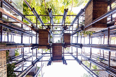 Gallery of Green Ladder / Vo Trong Nghia Architects  - 2